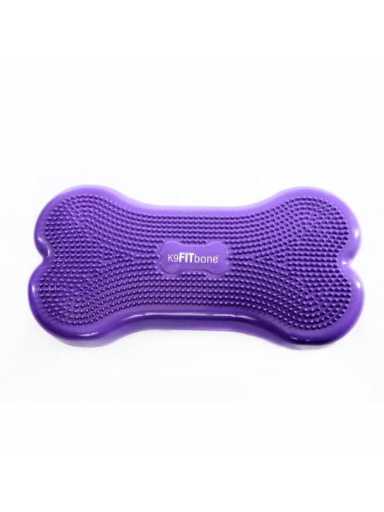 Fitpaws lemmiklooma tasakaaluplatvorm giant k9fitbone pvc, violetne