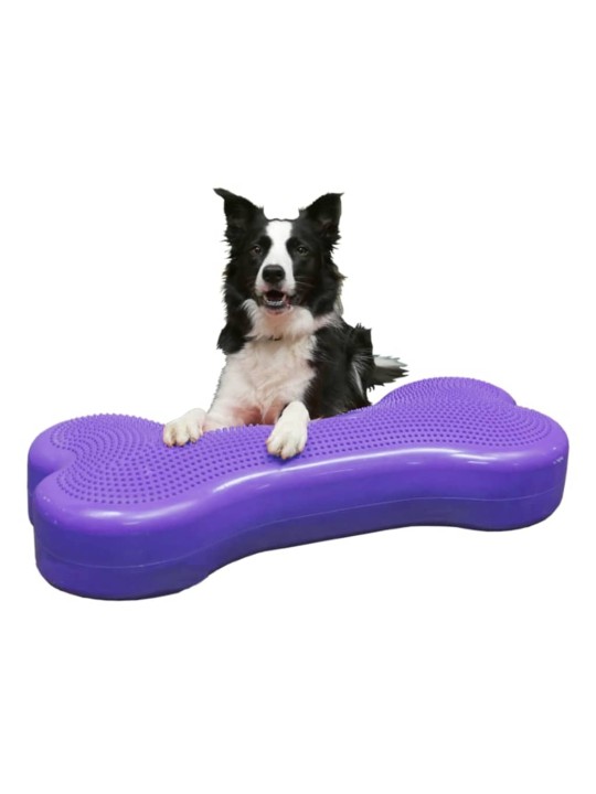 Fitpaws lemmiklooma tasakaaluplatvorm giant k9fitbone pvc, violetne