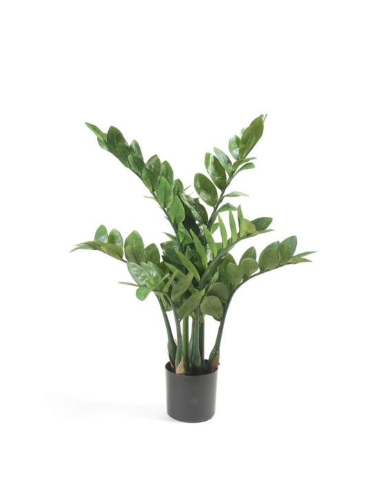 Emerald kunsttaim zamioculcas 70 cm