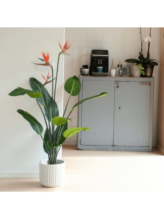 Emerald kunsttaim strelitzia potis, lilledega, 120 cm