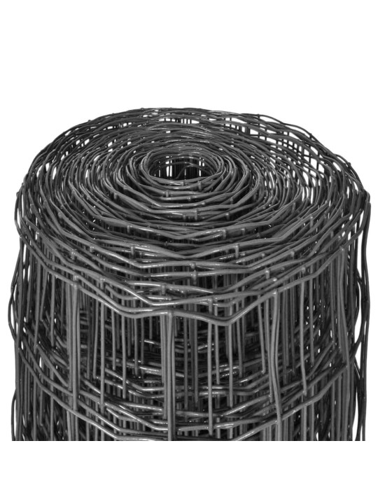 EUROAED, TERAS, 25 X 1,2 M, HALL