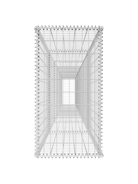 Gabioonsein kattega, tsingitud teras, 600 x 50 x 100 cm