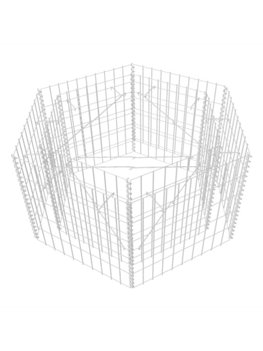 Kuusnurkne gabioon-taimelava, teras 100 x 90 x 50 cm