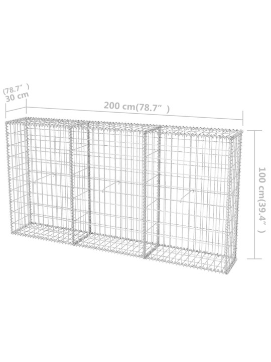 Gabioonkorv, tsingitud teras 200 x 30 x 100 cm