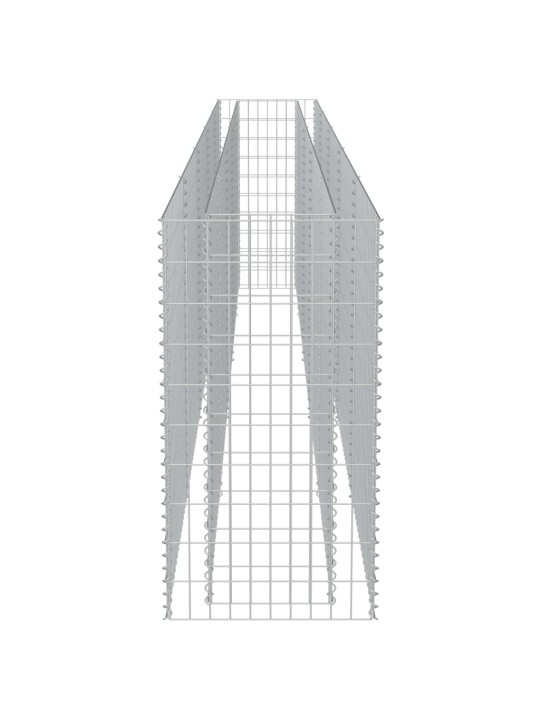 Gabioon-taimelava, tsingitud teras, 450 x 50 x 100 cm