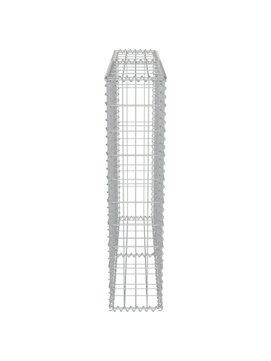 Kattega gabioonsein, tsingitud teras, 100 x 20 x 100 cm