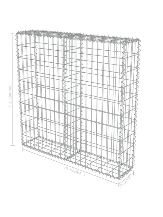 Kattega gabioonsein, tsingitud teras, 100 x 20 x 100 cm