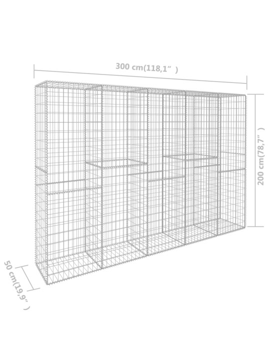 Gabioonsein kattega, tsingitud teras, 300 x 50 x 200 cm