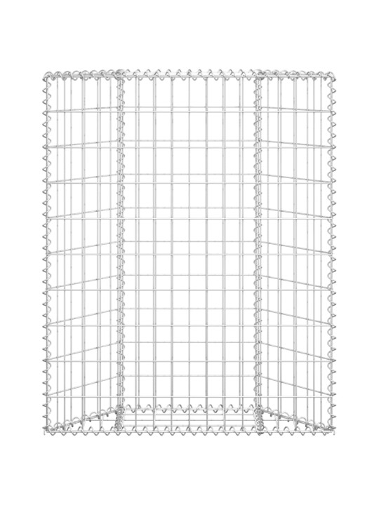 Gabioon-taimelava, tsingitud teras, 80 x 20 x 100 cm