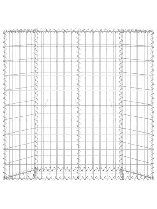 Gabioon-taimelava, tsingitud teras, 100 x 20 x 100 cm