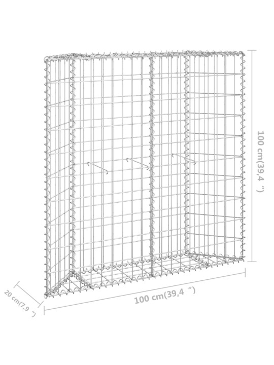 Gabioon-taimelava, tsingitud teras, 100 x 20 x 100 cm