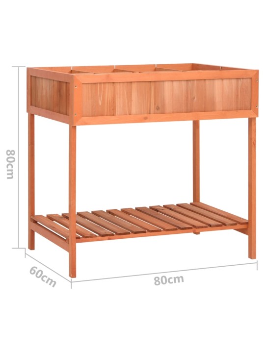 Maitsetaimede kast, 80 x 60 x 80 cm, nulupuit