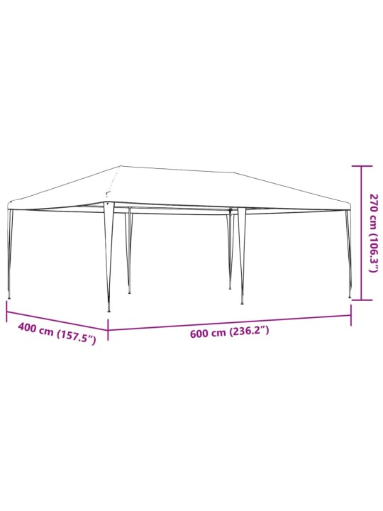 Professionaalne peotelk, 4 x 6 m, antratsiithall, 90 g/m²