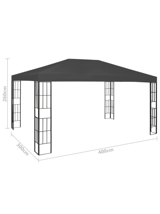 Varjualune 3 x 4 m, antratsiithall