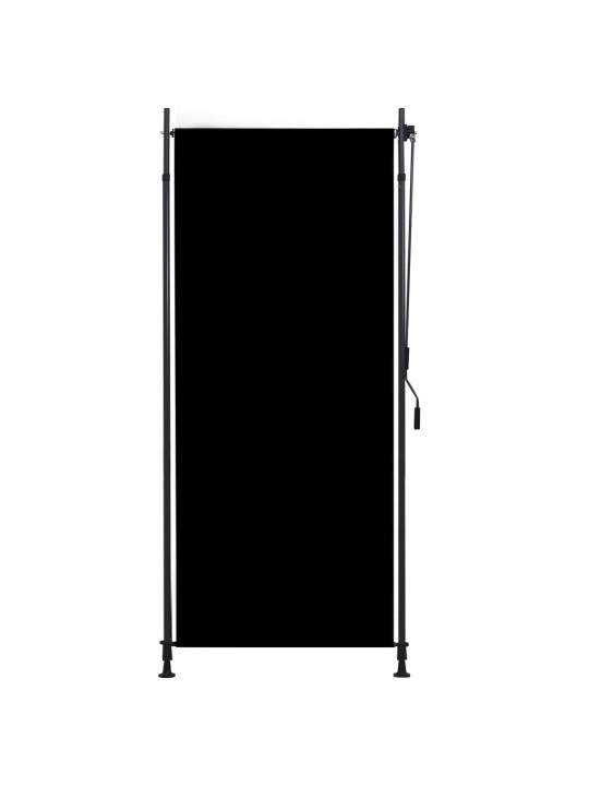 VÄLIRULOO 100 X 270 CM, ANTRATSIITHALL