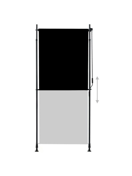 VÄLIRULOO 100 X 270 CM, ANTRATSIITHALL