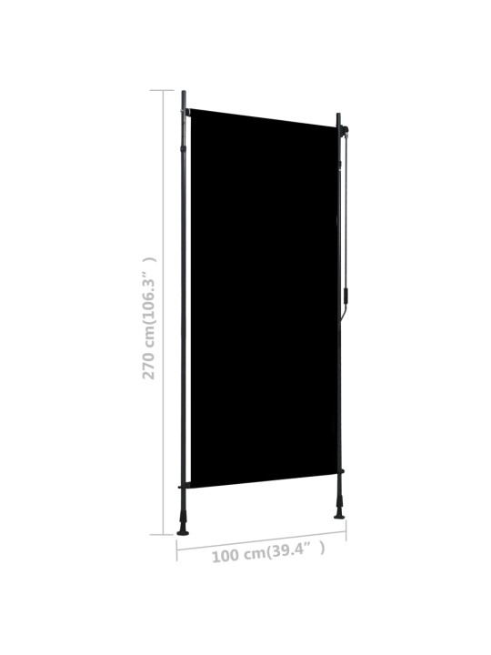 VÄLIRULOO 100 X 270 CM, ANTRATSIITHALL