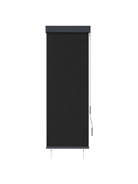 VÄLIRULOO 60 X 250 CM, ANTRATSIITHALL