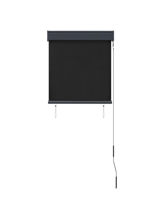 VÄLIRULOO 60 X 250 CM, ANTRATSIITHALL