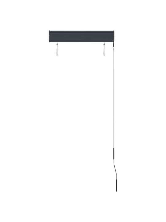 VÄLIRULOO 60 X 250 CM, ANTRATSIITHALL