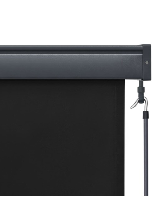 VÄLIRULOO 60 X 250 CM, ANTRATSIITHALL