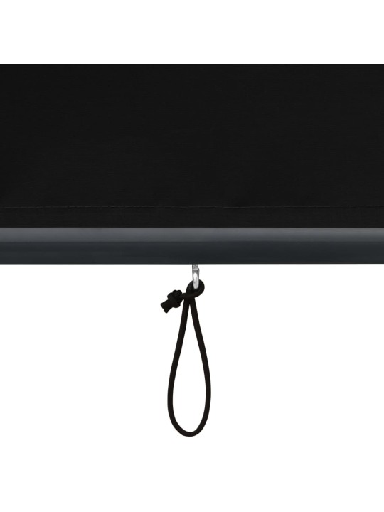VÄLIRULOO 60 X 250 CM, ANTRATSIITHALL