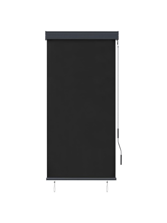 VÄLIRULOO 80 X 250 CM, ANTRATSIITHALL