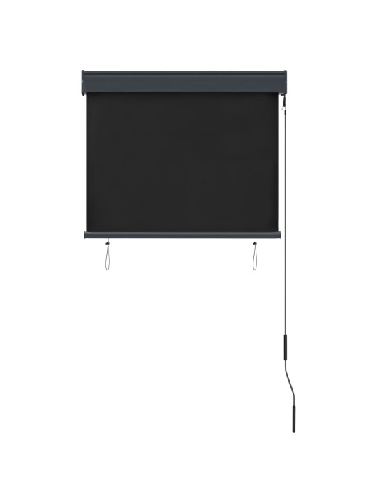 VÄLIRULOO 80 X 250 CM, ANTRATSIITHALL