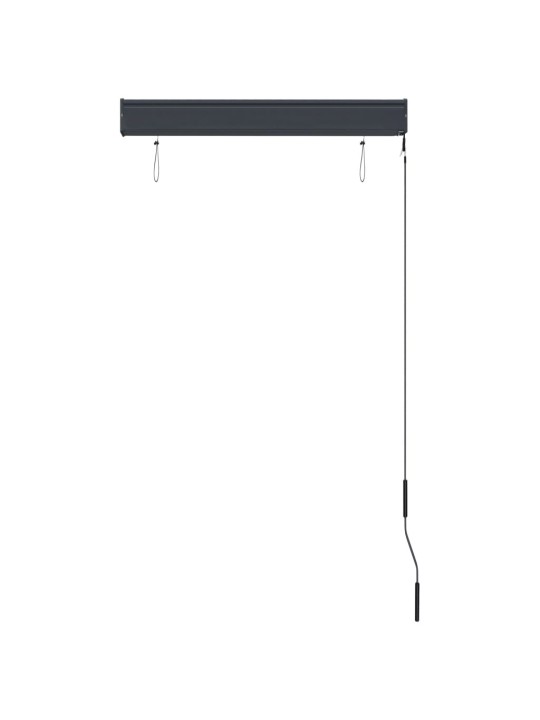 VÄLIRULOO 80 X 250 CM, ANTRATSIITHALL