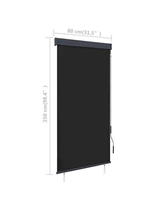 VÄLIRULOO 80 X 250 CM, ANTRATSIITHALL