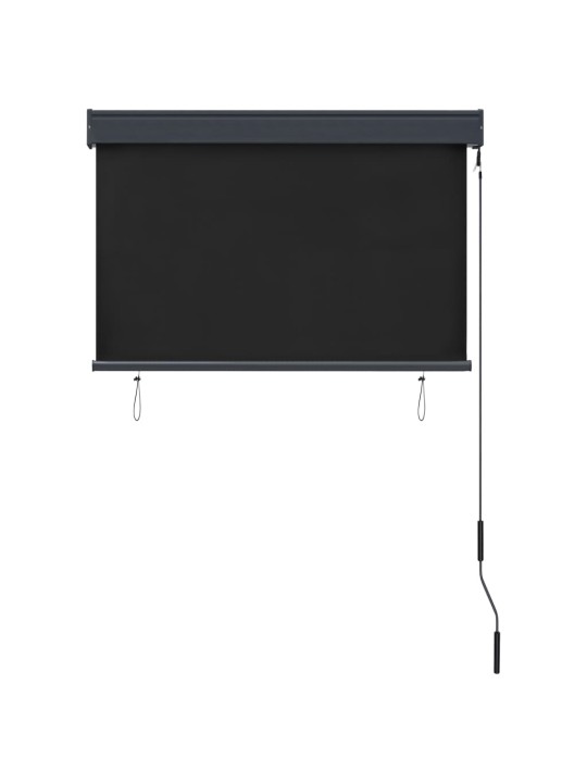 VÄLIRULOO 100 X 250 CM, ANTRATSIITHALL