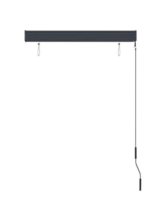 VÄLIRULOO 100 X 250 CM, ANTRATSIITHALL