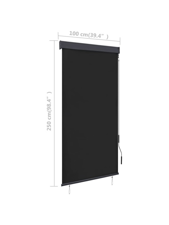 VÄLIRULOO 100 X 250 CM, ANTRATSIITHALL