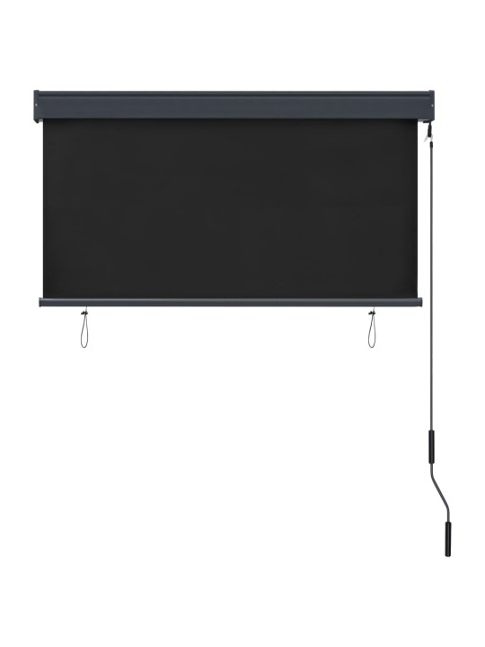 VÄLIRULOO 120 X 250 CM, ANTRATSIITHALL