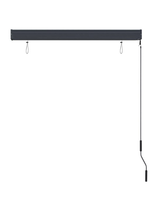 VÄLIRULOO 120 X 250 CM, ANTRATSIITHALL
