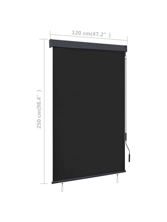 VÄLIRULOO 120 X 250 CM, ANTRATSIITHALL