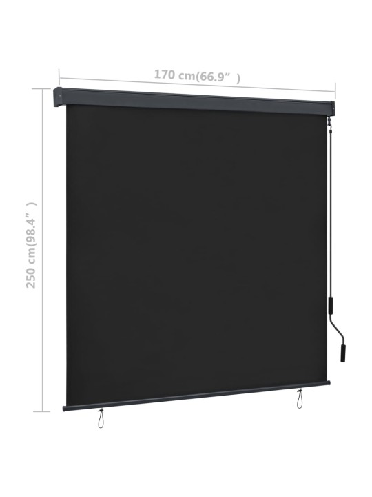 VÄLIRULOO 170 X 250 CM, ANTRATSIITHALL