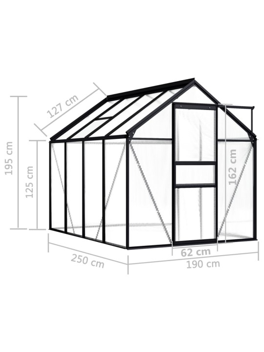 Kasvuhoone, antratsiithall, alumiiniumist 4,75 m³