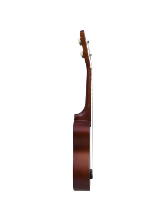 Sopran ukulele komplekt kotiga lastele naturaalne 21"