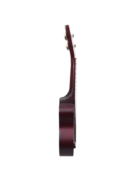 Sopran ukulele komplekt kotiga lastele naturaalne 21"