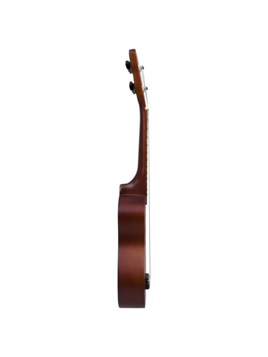 Sopran ukulele komplekt kotiga lastele naturaalne 23"