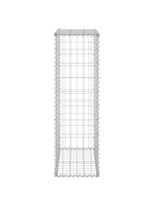 Kattega gabioonsein, tsingitud teras, 60 x 30 x 100 cm