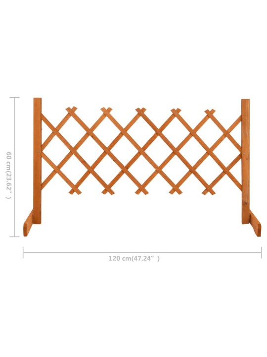 Aiavõre, oranž, 120 x 60 cm, nulupuit