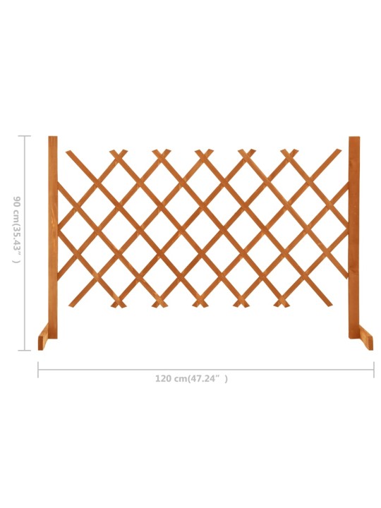 Aiavõre, oranž, 120 x 90 cm, nulupuit