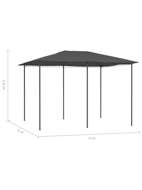 Varikatus 3 x 4 x 2,6 m, antratsiithall 160 g/m²