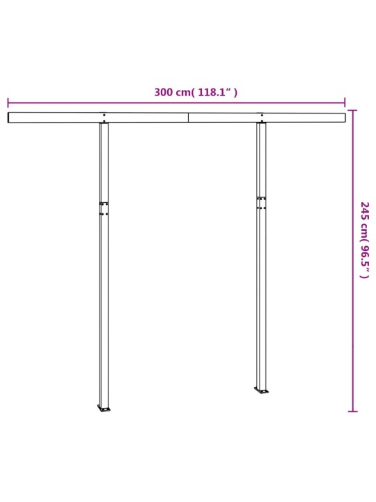 Varikatuse postide komplekt, valge, 300 x 245 cm, raud