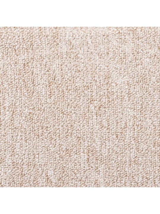 TREPIVAIBAD 10 TK, 65X24X4 CM, PRUUNIKASHALL