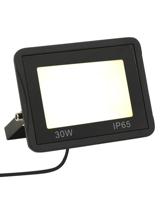 LED-PROŽEKTOR 2 TK, 30 W, SOE VALGE