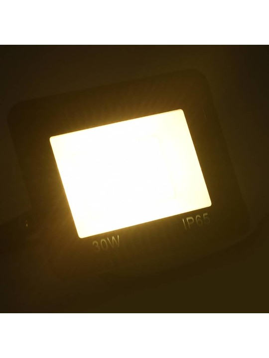 LED-PROŽEKTOR 2 TK, 30 W, SOE VALGE