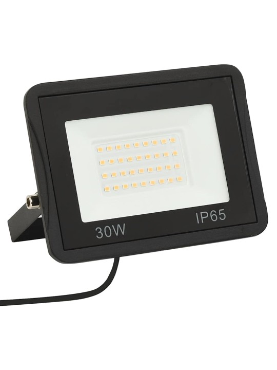 LED-PROŽEKTOR 2 TK, 30 W, SOE VALGE
